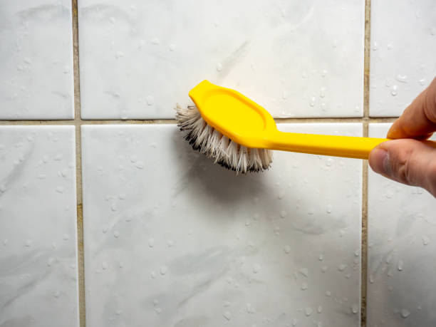 Best Home Mold Removal  in Noblesville, IN
