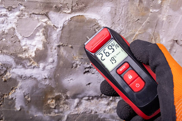 Best Crawl Space Mold Removal  in Noblesville, IN