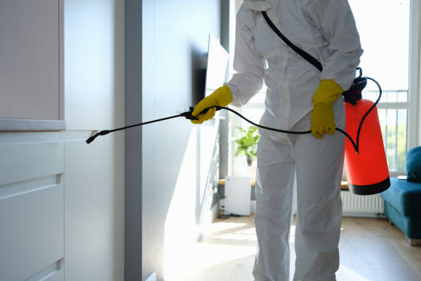 Home Mold Removal in Noblesville, IN